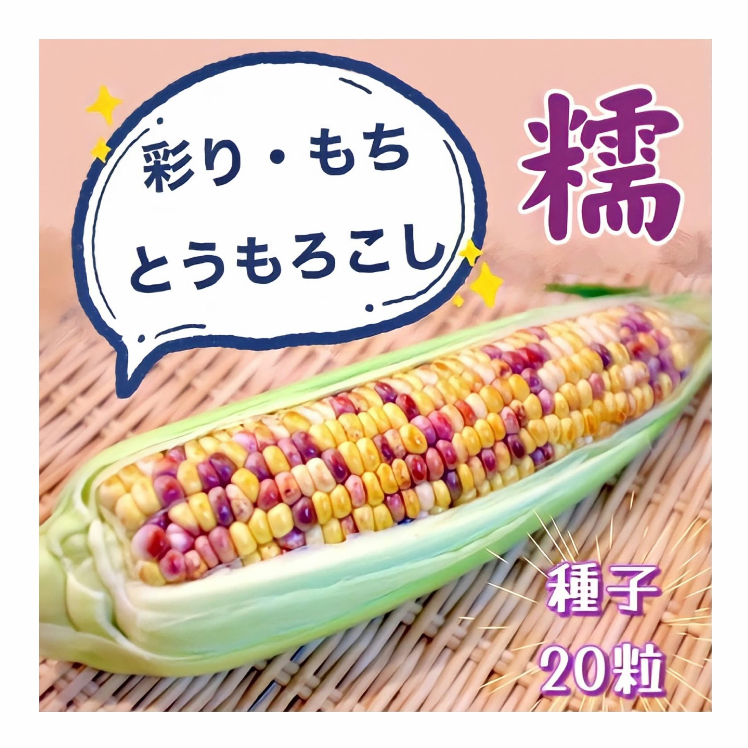 Amazon.co.jp: ウクレレ園芸SHOP 彩りもちトウモロコシ 種子20粒330円
